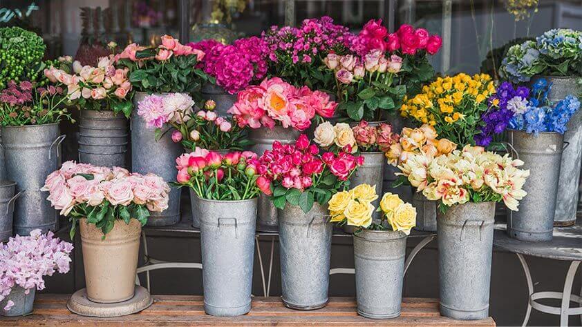 Un large choix de fleurs de saison chez votre fleuriste à Marignane